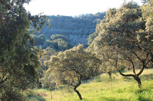 Agroturismo Caba�a El Mirador