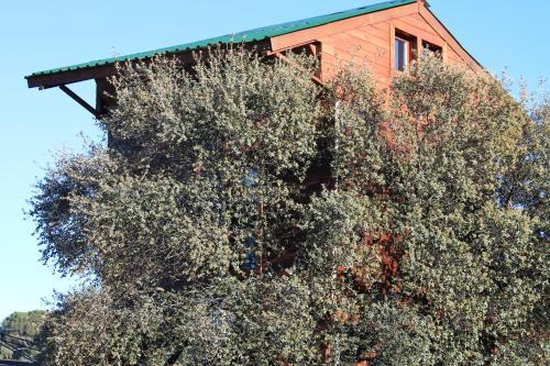 Agroturismo Caba�a El Mirador