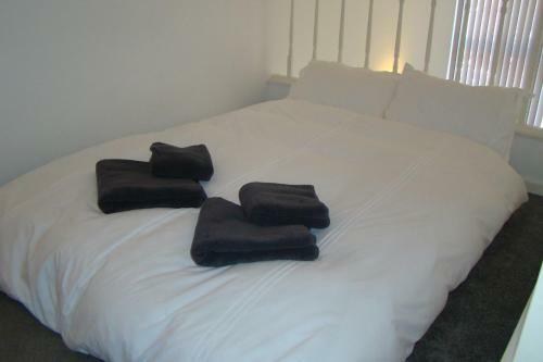 Corporation Street Apartment