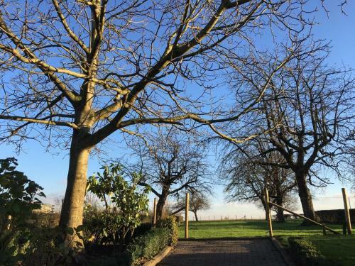 Bed & Breakfast 't Reijmerh�fke