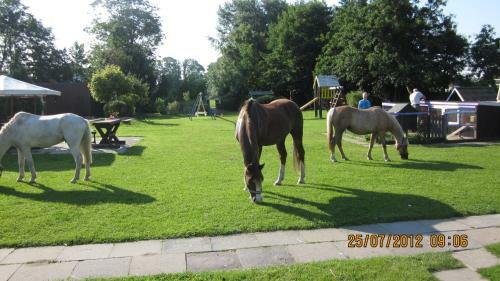 Familien- Und Apparthotel Strandhof