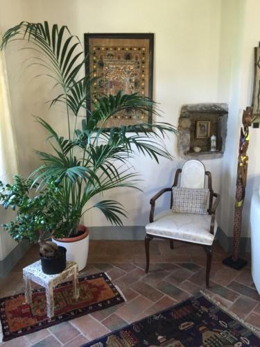 B&B Puccini