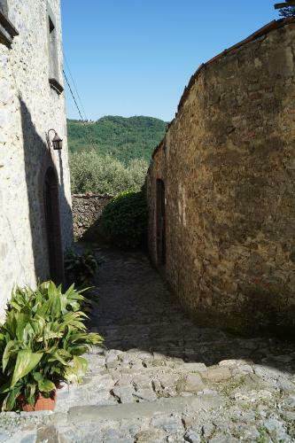 B&B Puccini