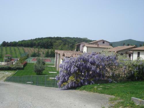 Apartamento Borgo San Pecoraio
