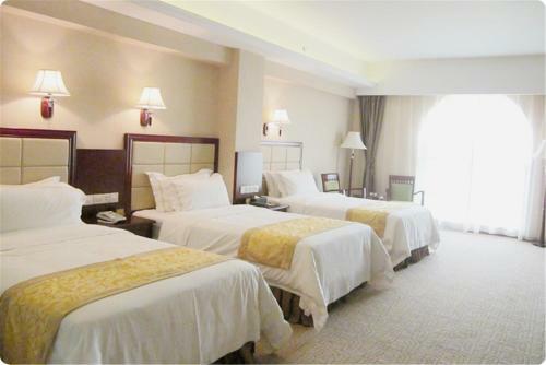 Vienna Classic Hotel Danyang City Hall