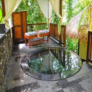 Hotel Nandini Bali Jungle Resort And Spa