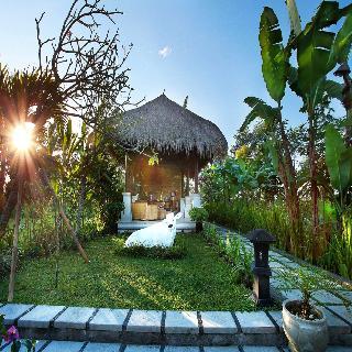 Hotel Nandini Bali Jungle Resort And Spa