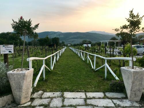 Bed & Breakfast Ca' Del Conte Agrihouse