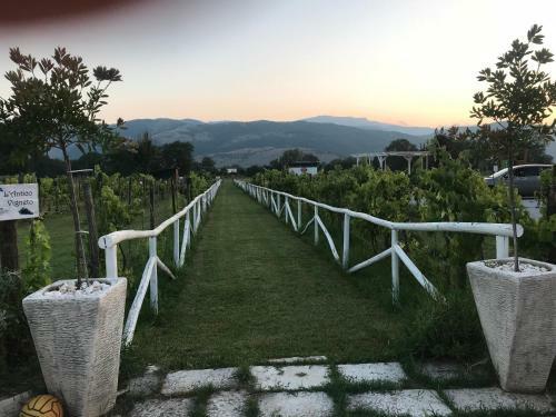 Bed & Breakfast Ca' Del Conte Agrihouse