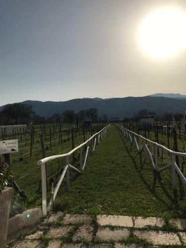 Bed & Breakfast Ca' Del Conte Agrihouse