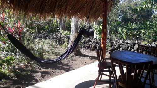Agroturismo Bananas Guest House