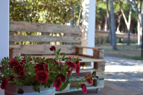 Camping Village Bocche D'albegna