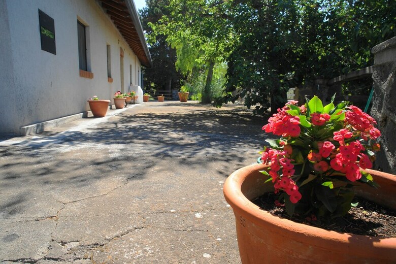 Etna Paradise Casa Vacanze
