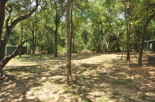Lodge Ciigiri Splendour