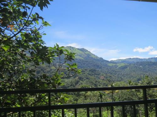 Mistletoe Homestay & Cafe