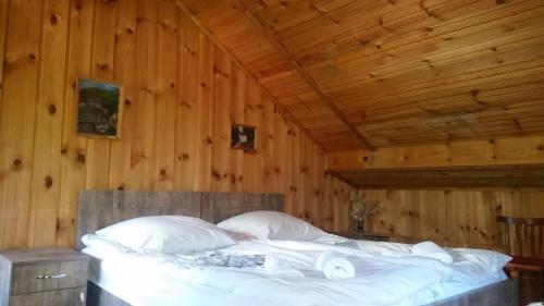 Hostal Lagami House