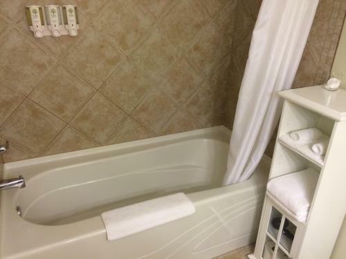 Bed & Breakfast Guest Suites On Benvenuto