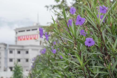 Hotel Hualien Toongmao Resort