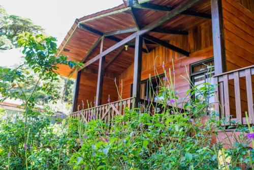 Albergue Heliconias Rainforest Lodge