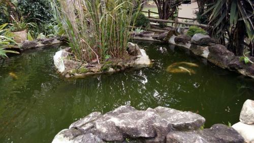 Pousada Recanto Dos Cisnes