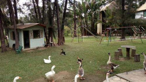 Pousada Recanto Dos Cisnes