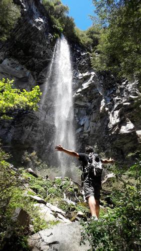 Caba�as Tronco Mayen