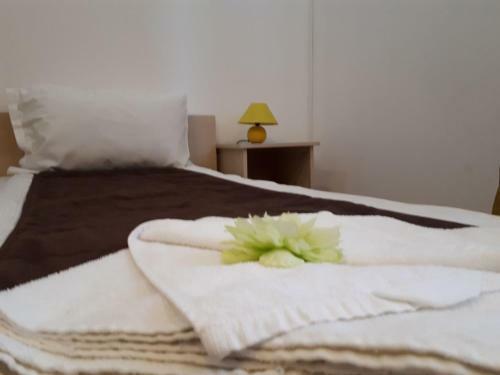 Hotel City Comfort Villa