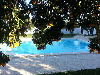 Agroturismo Casas Da Moagem Turismo Rural