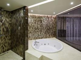 Pullman Istanbul Airport And Convention Center Hotel