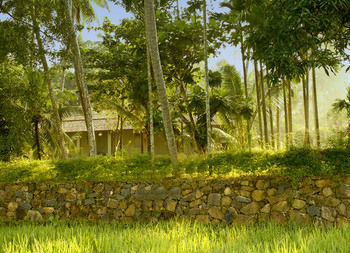 Villa Ivory House