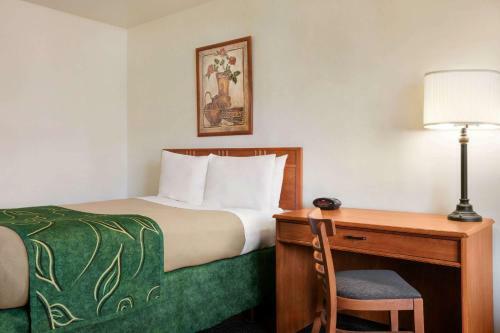 Hotel Baymont By Wyndham Buffalo