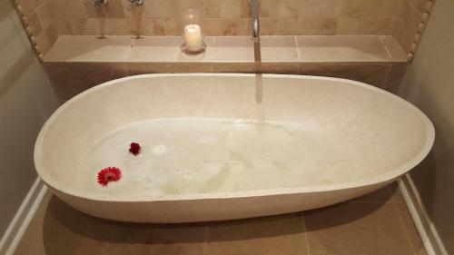 Lotus House Bed And Breakfast