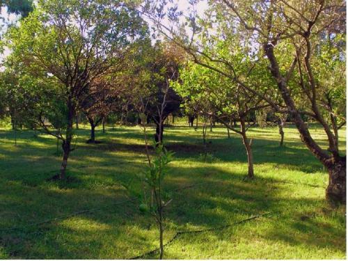 Agroturismo La Chacra De Emilio