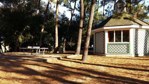 Apartamentos Appartement L'archippel & Ses 2 V�los