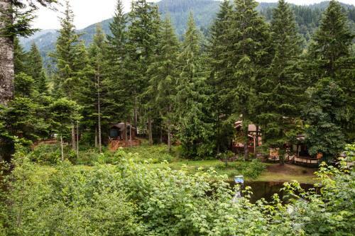 Mount Hood Village Premium Yurt 2