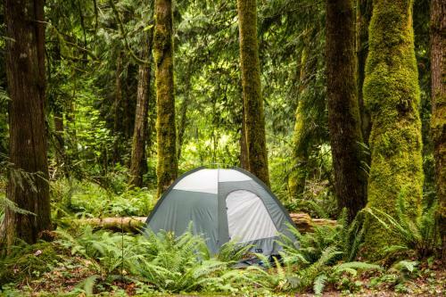Mount Hood Village Premium Yurt 2