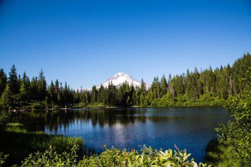 Mount Hood Village Premium Yurt 2