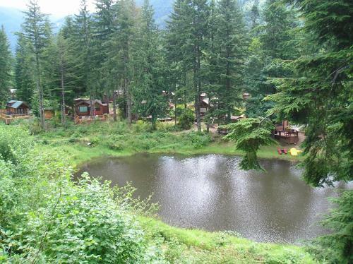 Mount Hood Village Deluxe Cabin 8