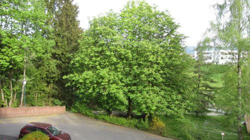 Apartamento Ruheoase M�ller