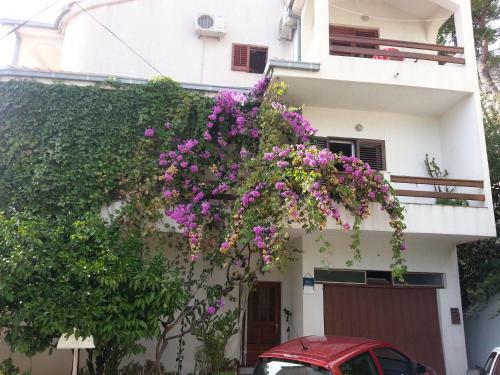 Apartment Zvonimir K A4