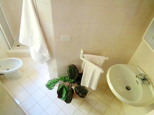 Hotel Albergo Ristorante Canetta