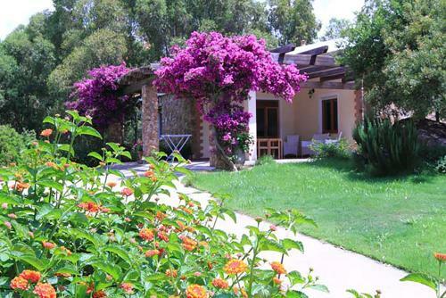 Agroturismo House Suestellas