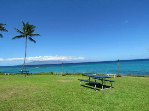 Apartamento Polynesian Shores #222