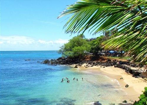Apartamento Polynesian Shores #120
