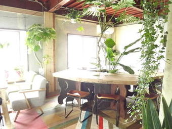 Albergue Lund House