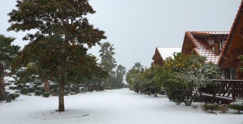 Pension Jeju Joyland