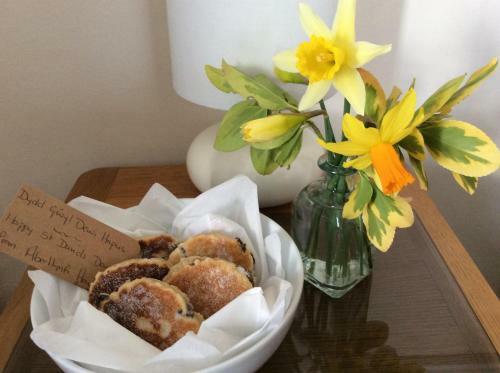 Bed & Breakfast Aberllynfi House