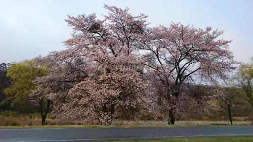 Kansuien Kakuraku