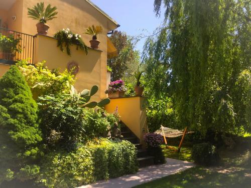 Le Pinette B&B