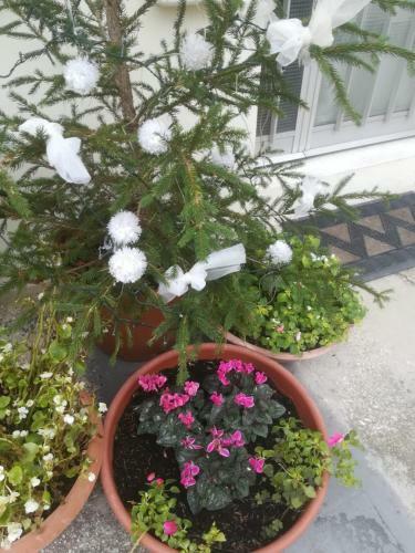 Apartamento Caterina House